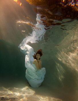 明星水下婚纱照,梦幻星河中的浪漫瞬间