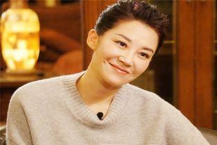 演铁头的明星,演绎传奇，闪耀荧屏